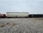 CBFX 490206